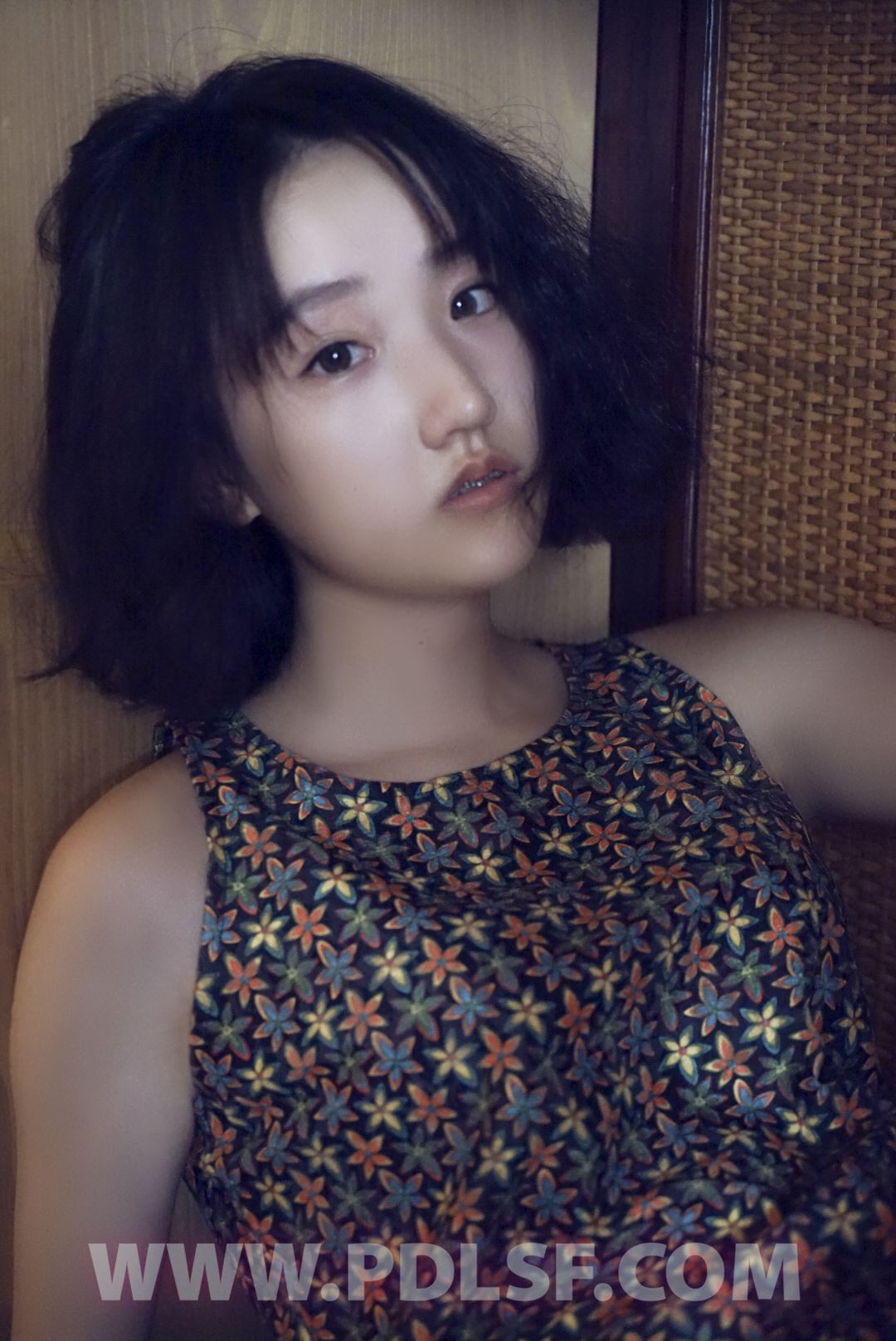 PDL潘多拉 2020.03.02 专辑No.282